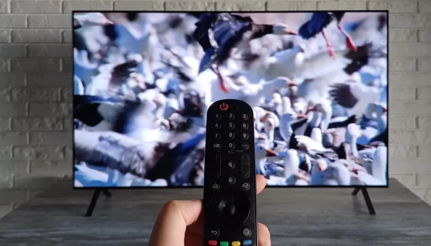 Pilot telewizyjny w dłoni, na ekranie telewizora stado ptaków. Wybieranie kanałów telewizyjnych.